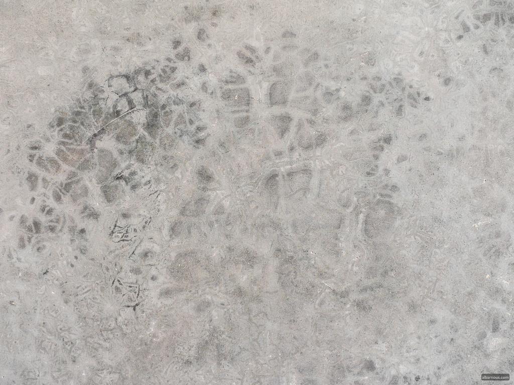 Albarnous Maison D'Hotes Tanger Eksteriør billede